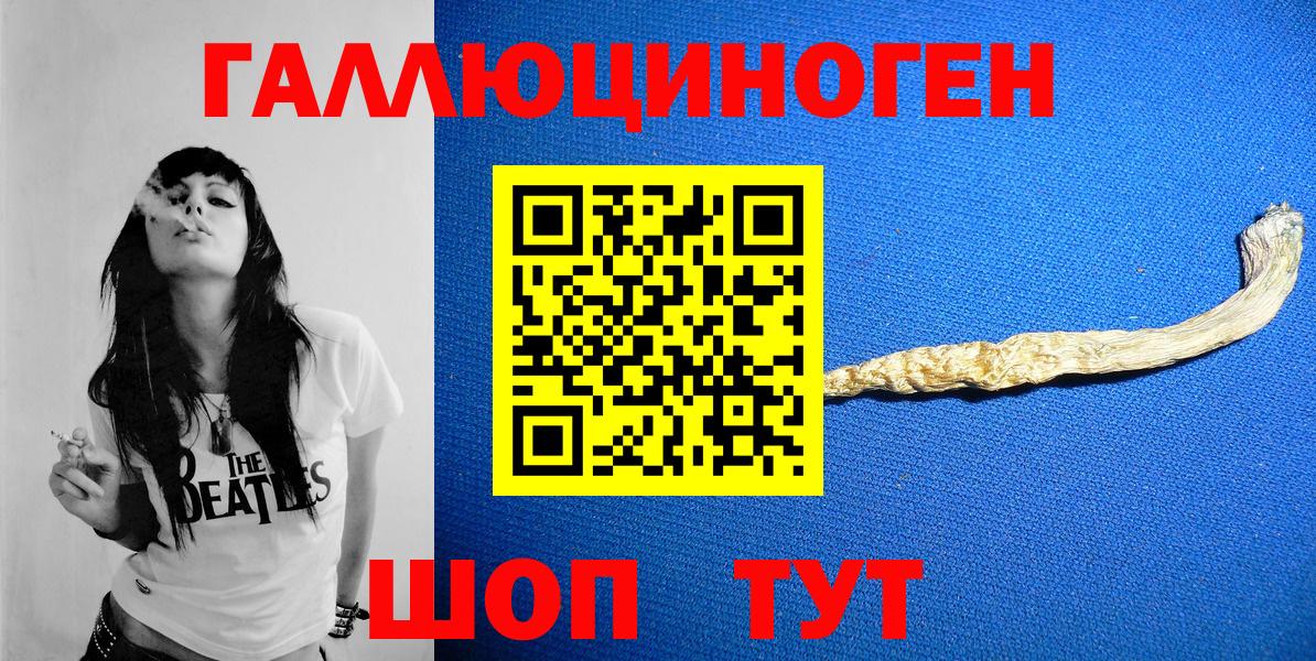 Галлюциногенные грибы Psilocybine cubensis  Вход с VPN  Сунжа 