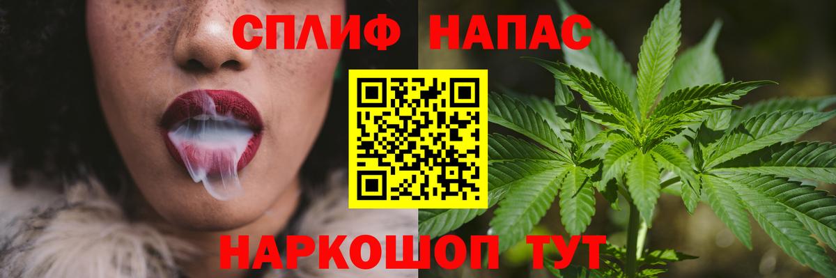 Канабис марихуана Сунжа